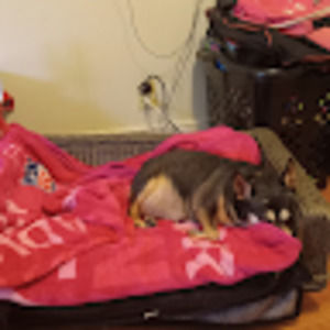 Meet your Posher, Haley